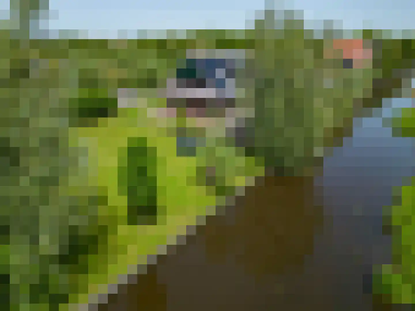 Lageweg 38 Ouderkerk aan den IJssel thumbnail 62
