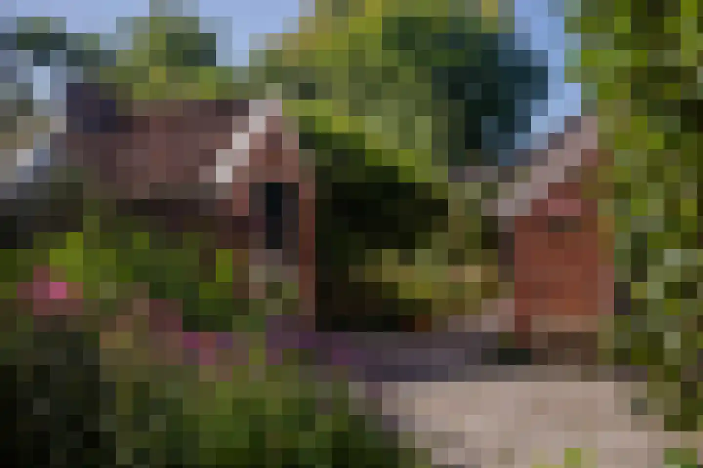 Lageweg 39 Noordlaren thumbnail 10