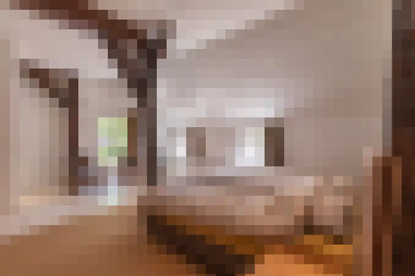 Lageweg 39 Noordlaren thumbnail 38