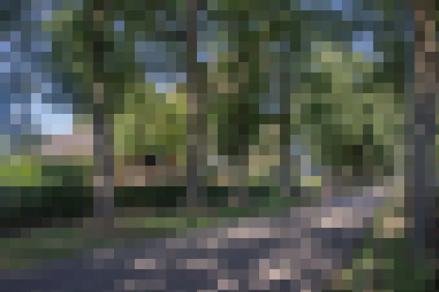 Lageweg 39 Noordlaren thumbnail 5