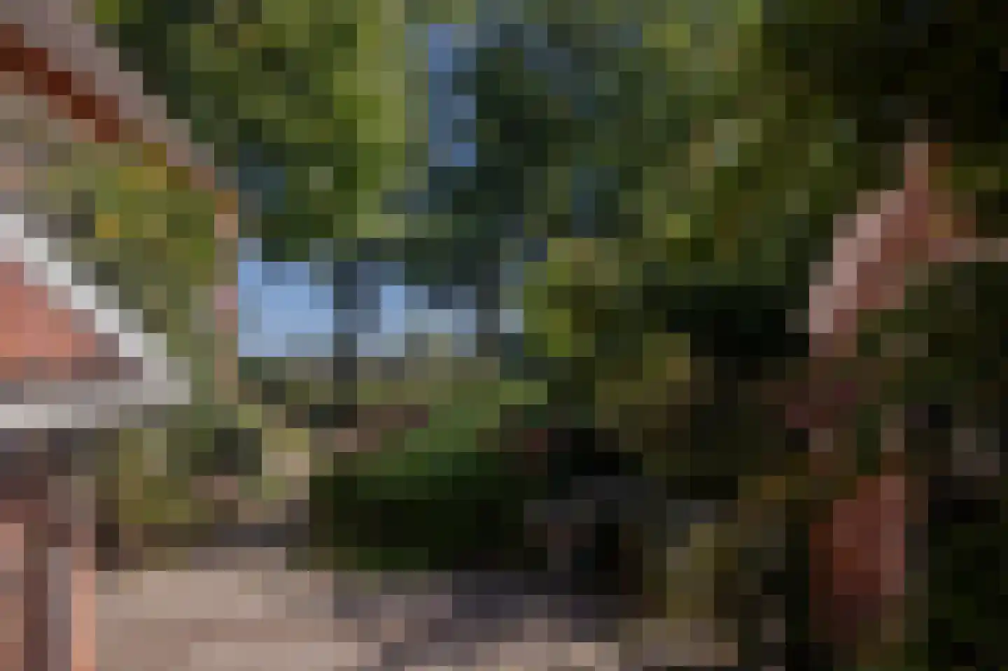 Lageweg 39 Noordlaren thumbnail 60