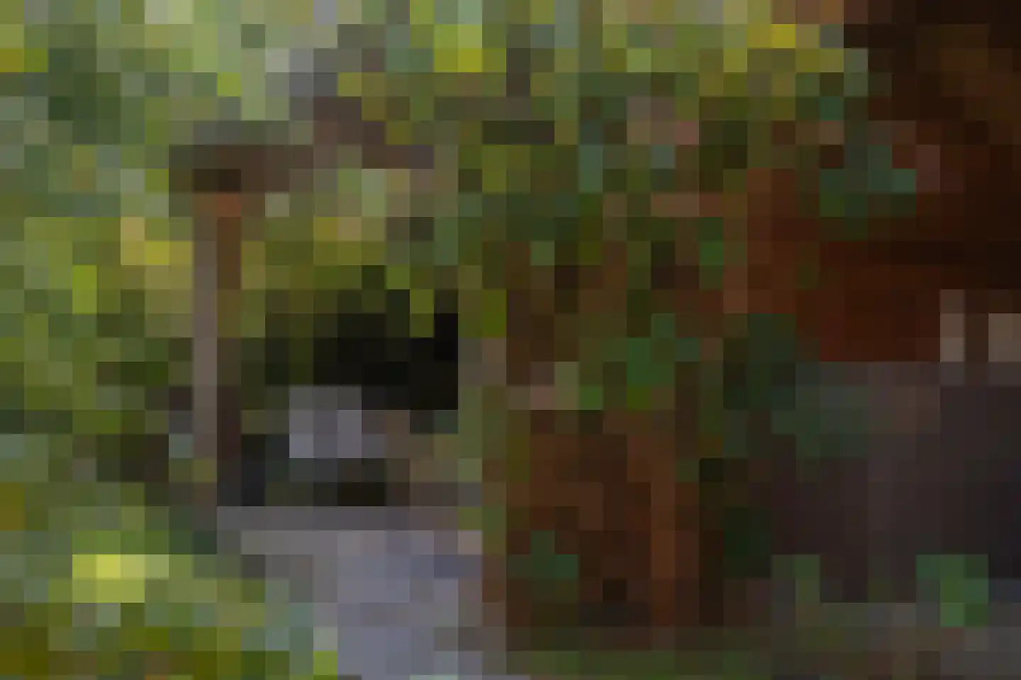 Lageweg 39 Noordlaren thumbnail 64