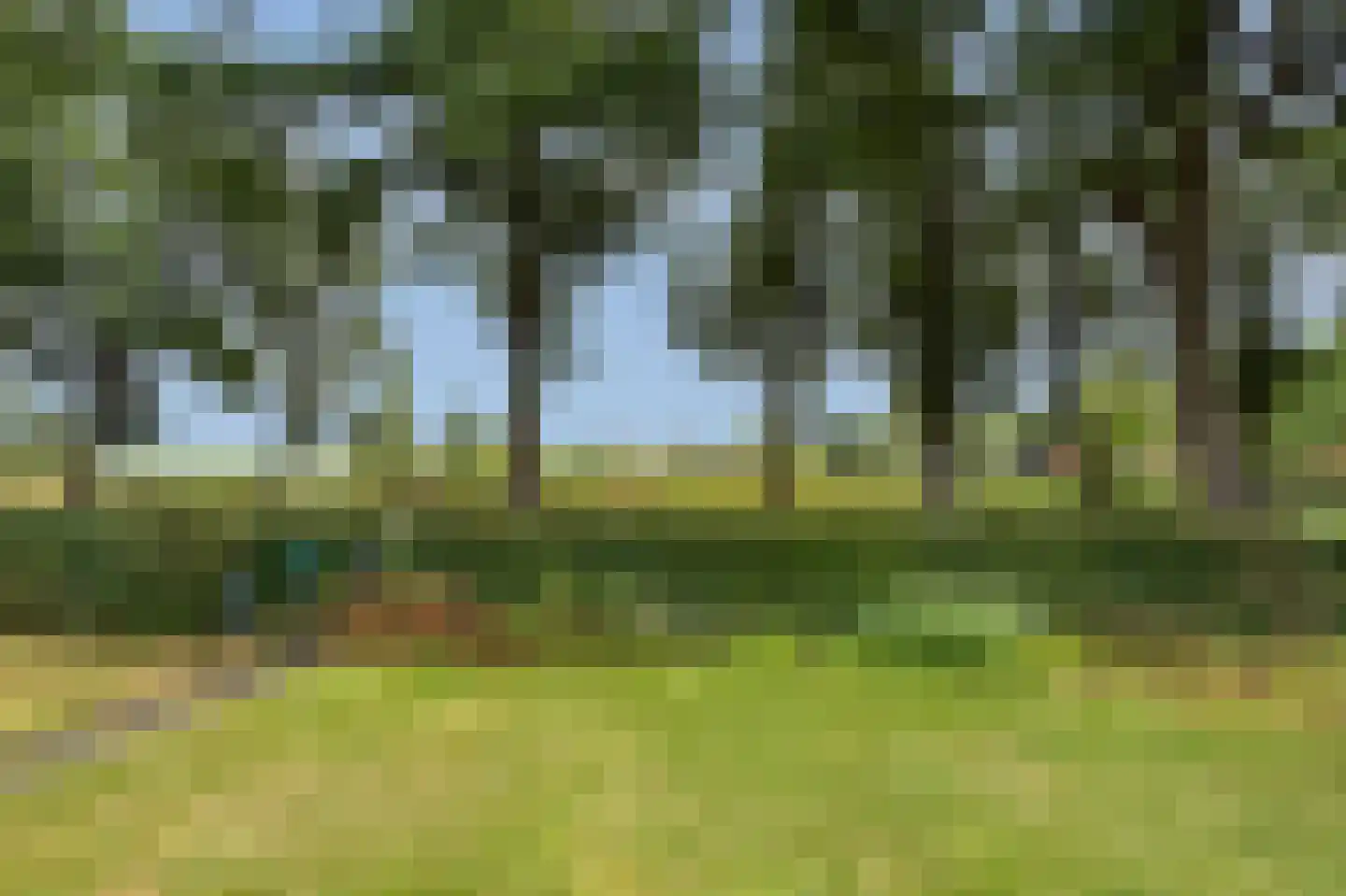 Lageweg 39 Noordlaren thumbnail 7