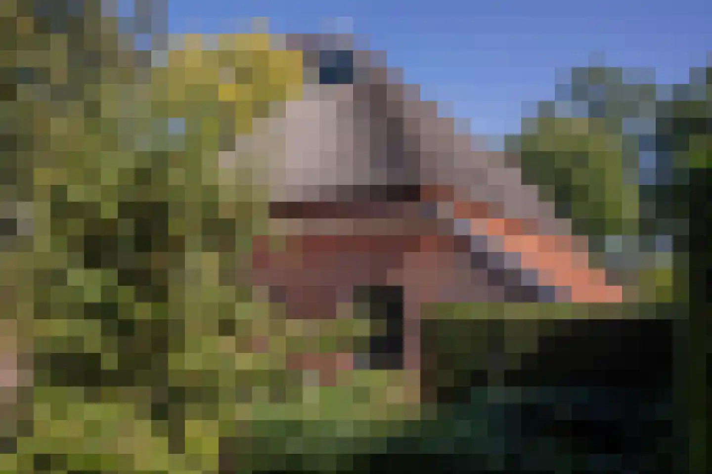 Lageweg 39 Noordlaren thumbnail 73