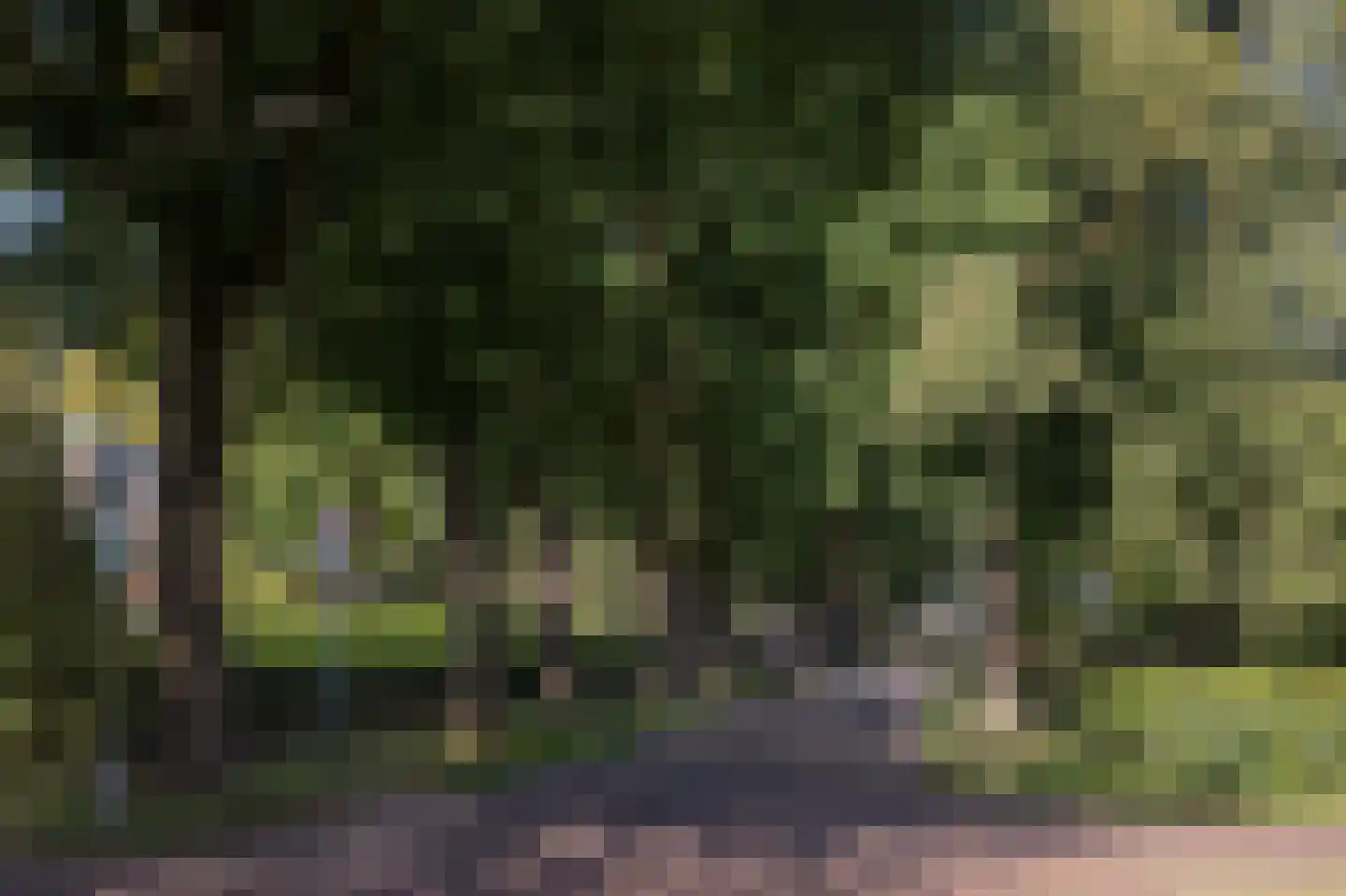 Lageweg 39 Noordlaren thumbnail 81