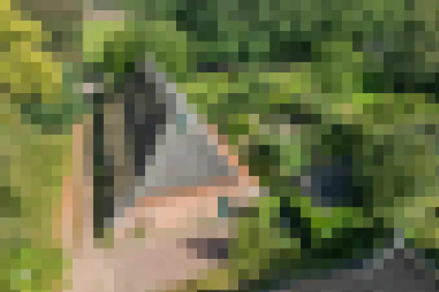 Lageweg 39 Noordlaren thumbnail 82