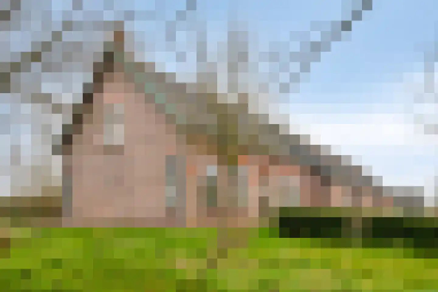 Lageweg 4 Nisse thumbnail 10