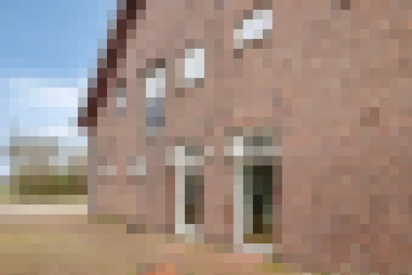 Lageweg 4 Nisse thumbnail 18