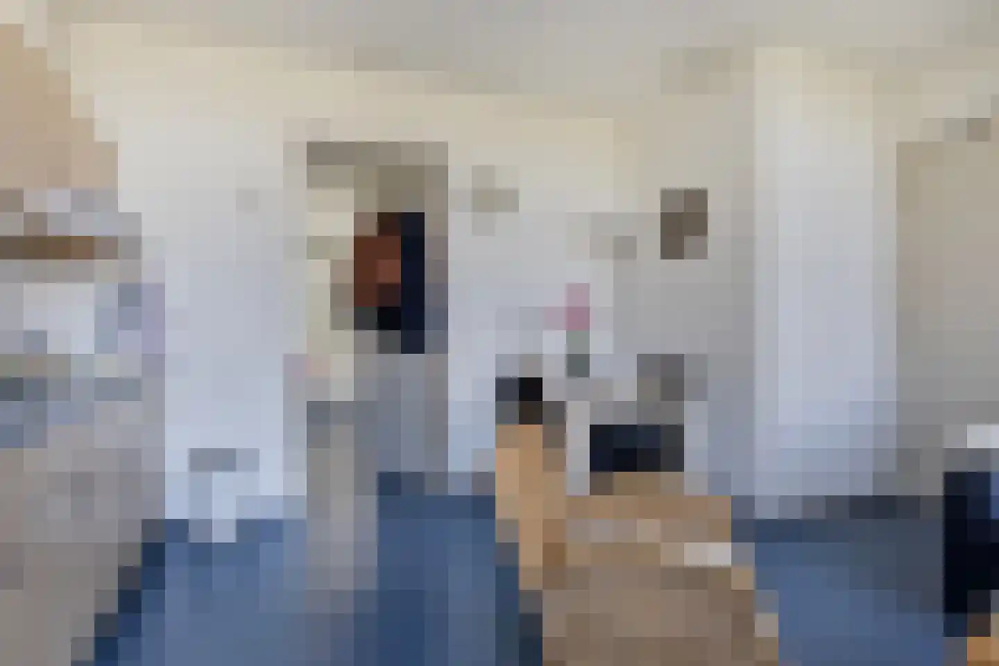 Lageweg 4 Nisse thumbnail 33