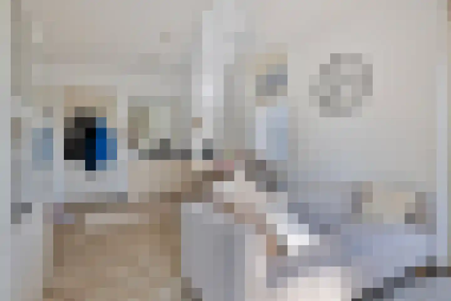 Lageweg 4 Nisse thumbnail 45