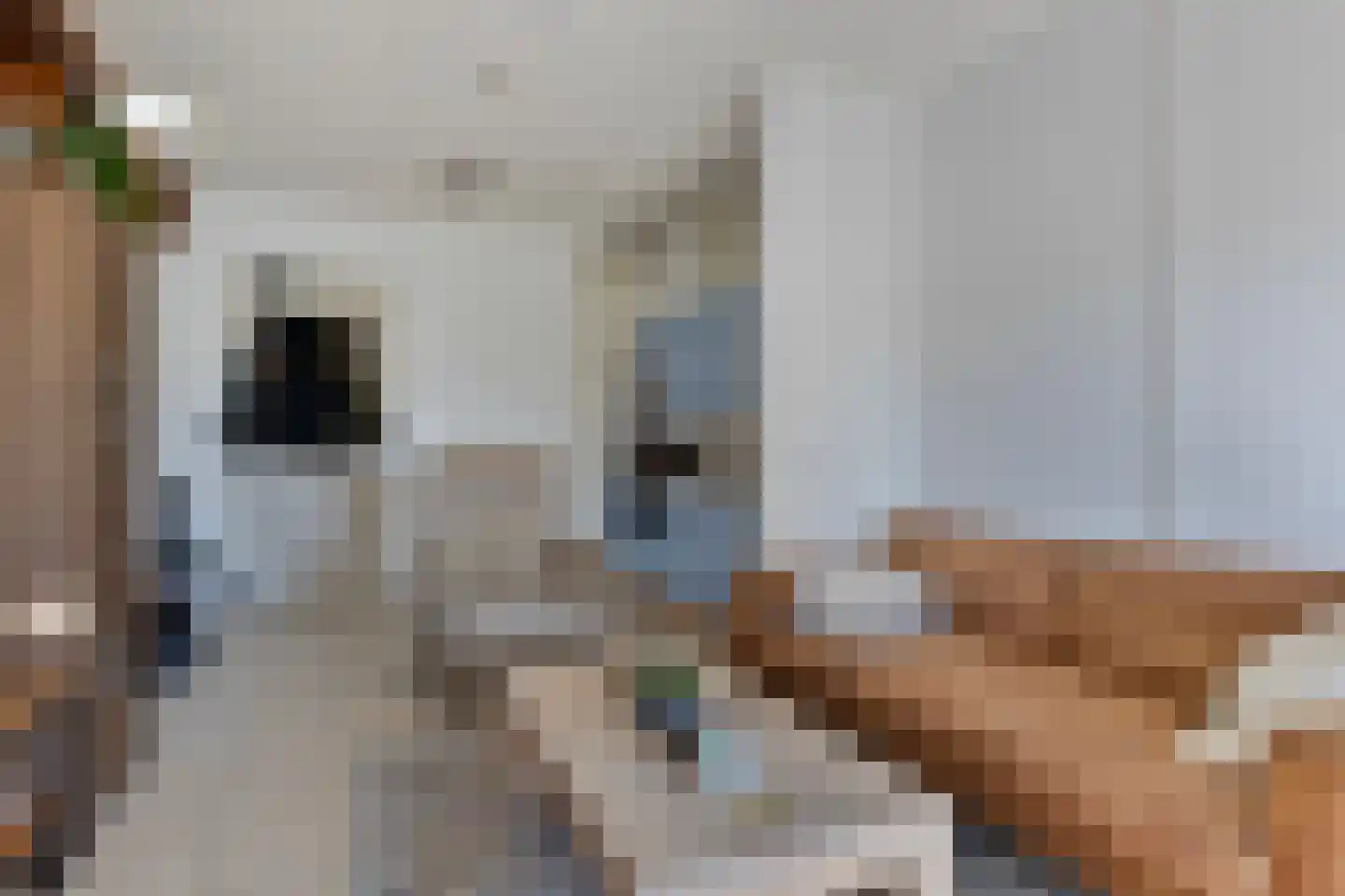 Lageweg 4 Nisse thumbnail 62