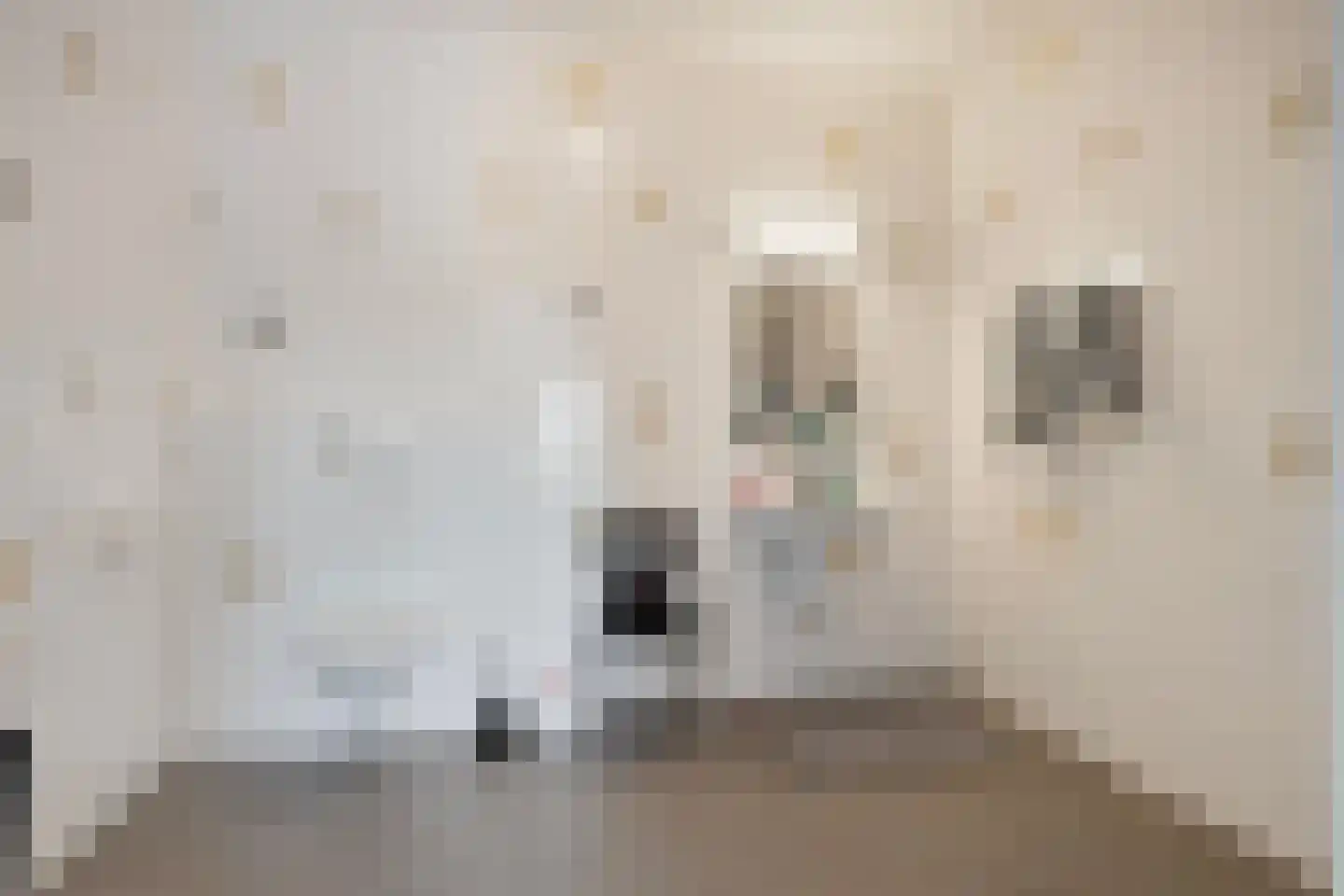 Lageweg 4 Nisse thumbnail 64