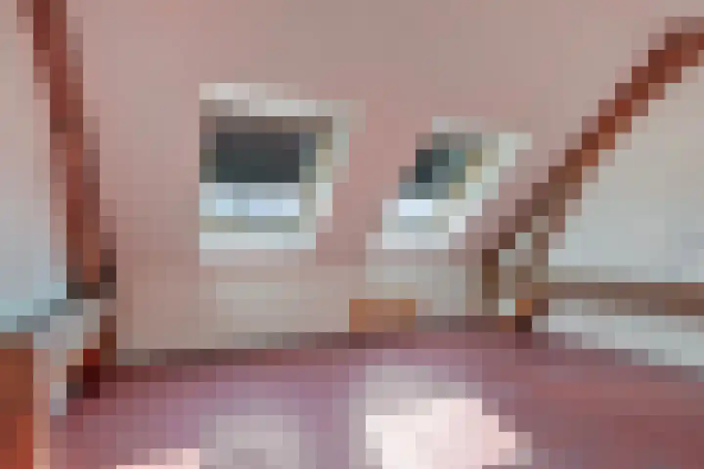 Lageweg 4 Nisse thumbnail 87