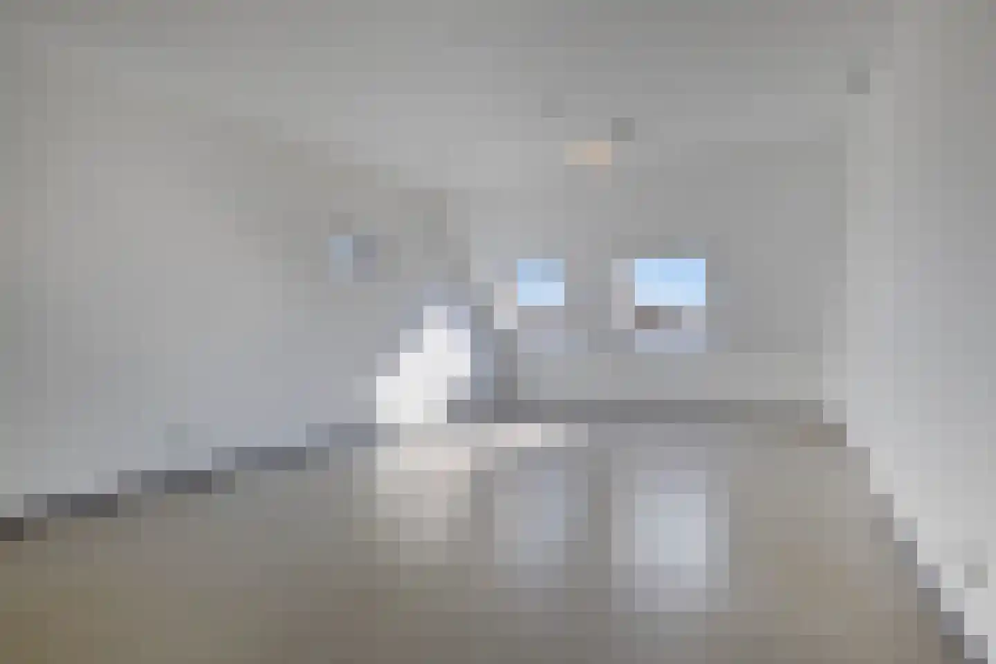 Lageweg 4 Nisse thumbnail 89