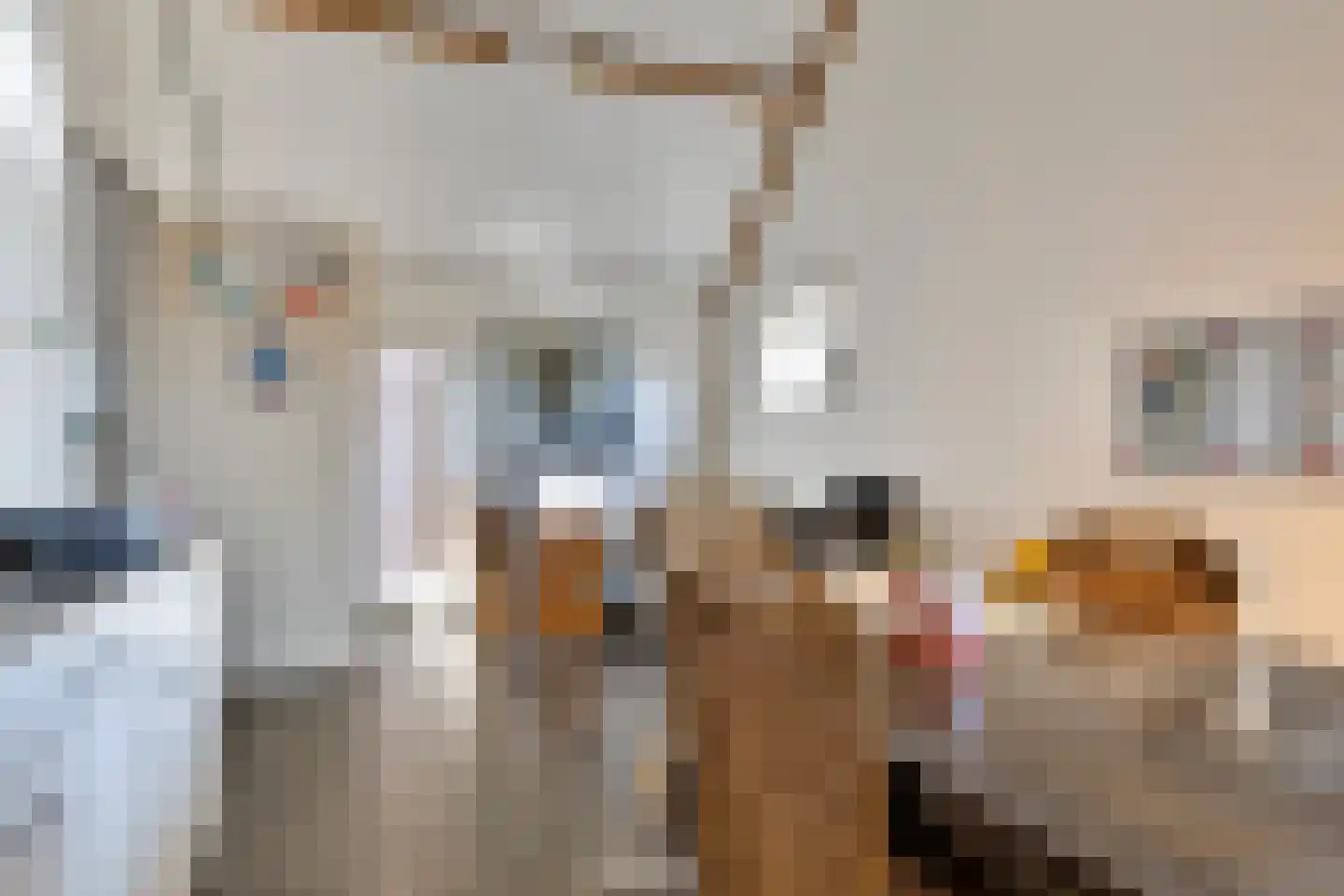 Lageweg 4 Nisse thumbnail 92