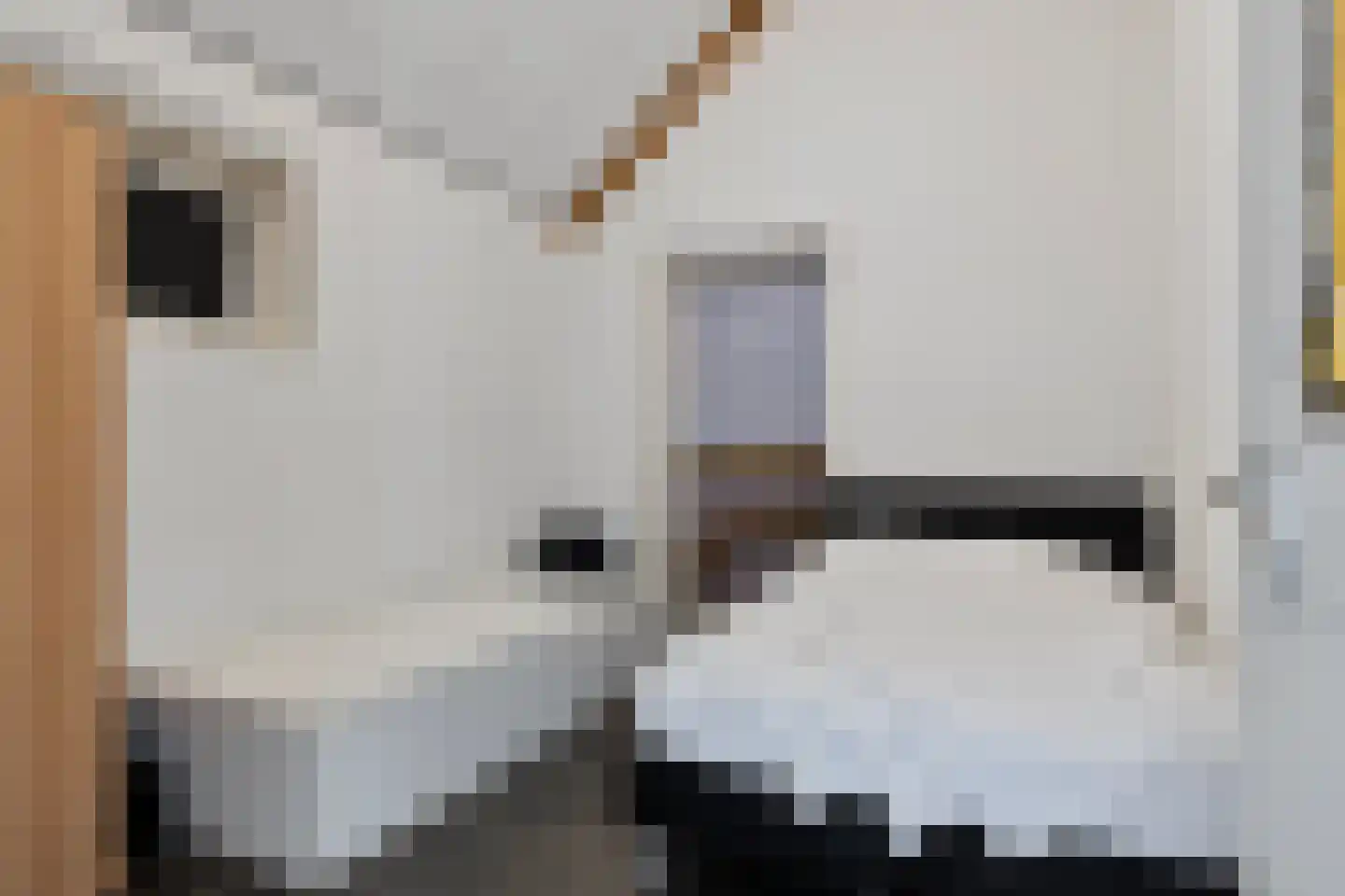 Lageweg 4 Nisse thumbnail 94