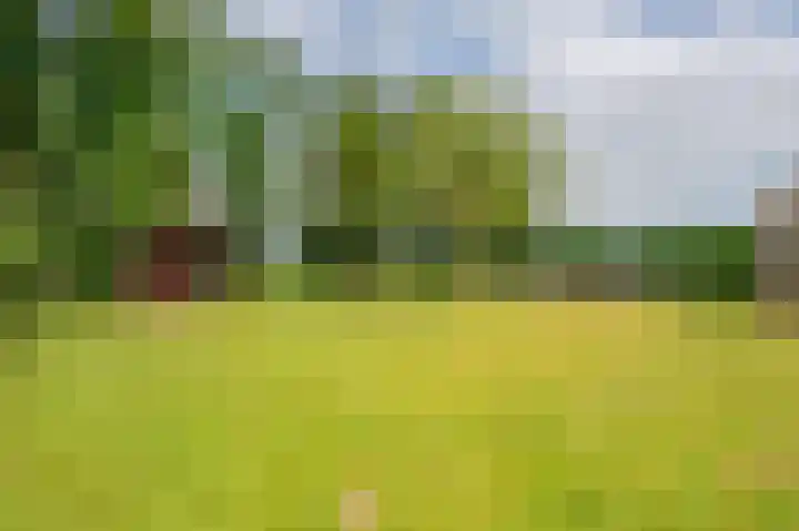 Lageweg 42 Wedde thumbnail 45