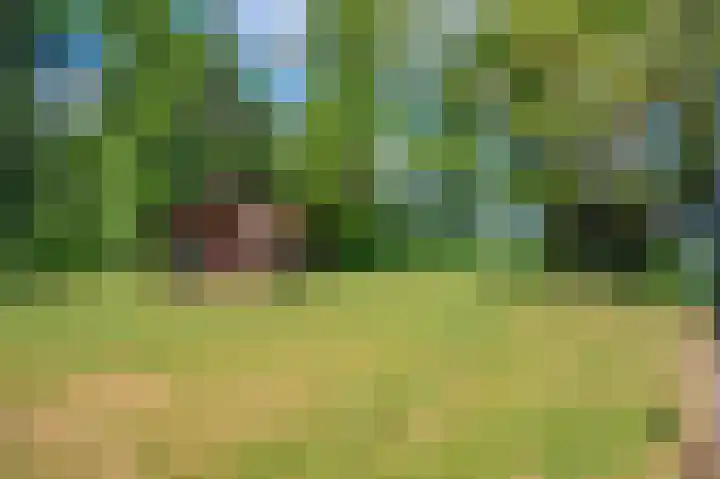 Lageweg 42 Wedde thumbnail 46
