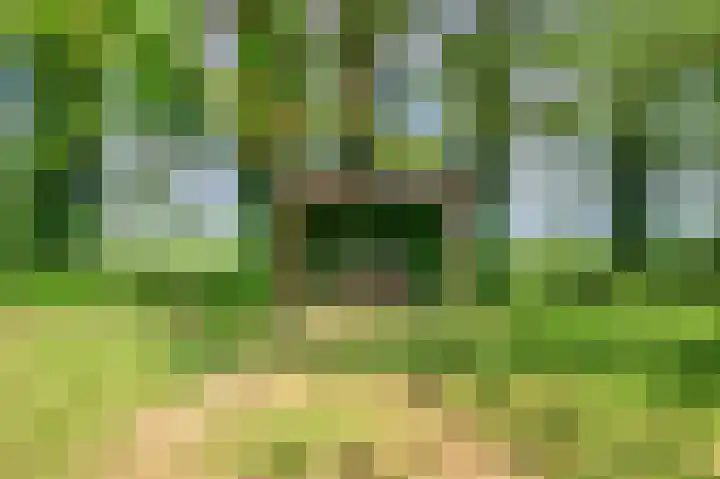 Lageweg 42 Wedde thumbnail 49