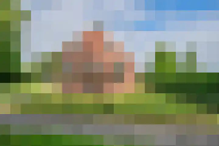 Lageweg 42 Wedde thumbnail 5