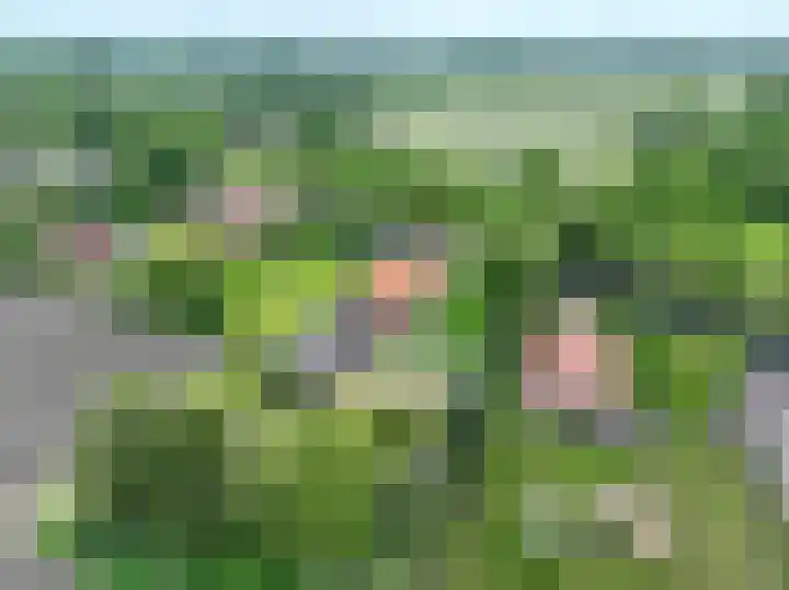 Lageweg 42 Wedde thumbnail 56