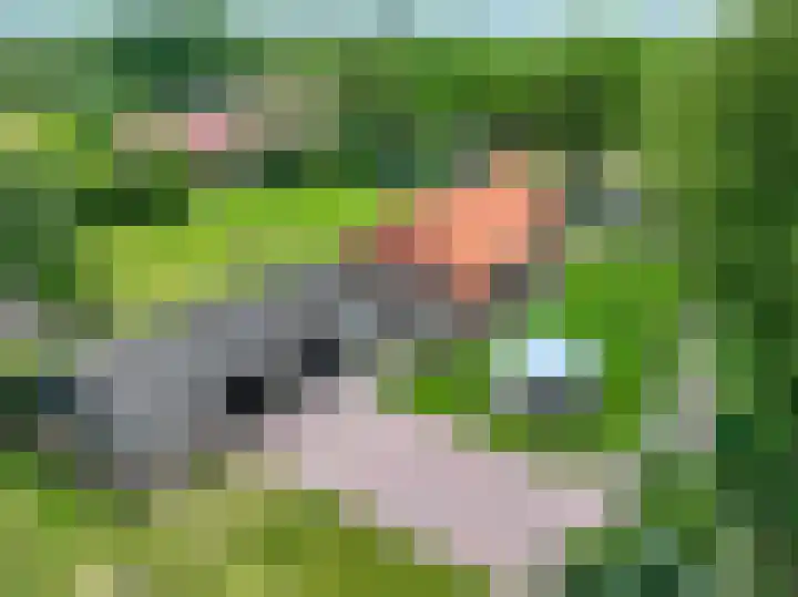 Lageweg 42 Wedde thumbnail 6