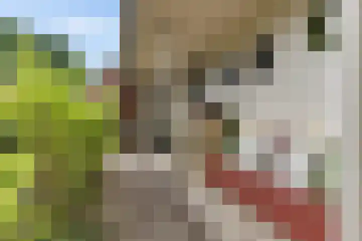 Lageweg 47 Noordlaren thumbnail 10