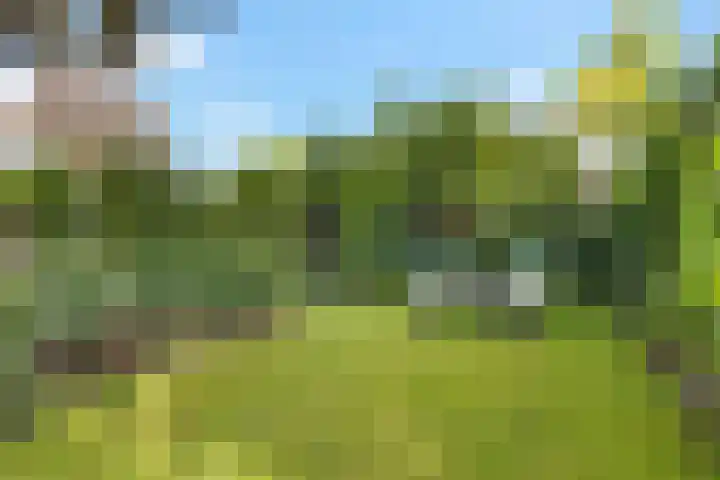 Lageweg 47 Noordlaren thumbnail 37