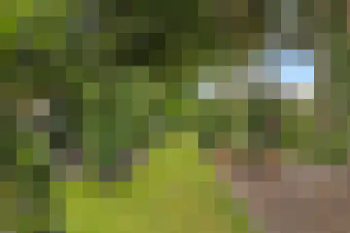 Lageweg 47 Noordlaren thumbnail 38