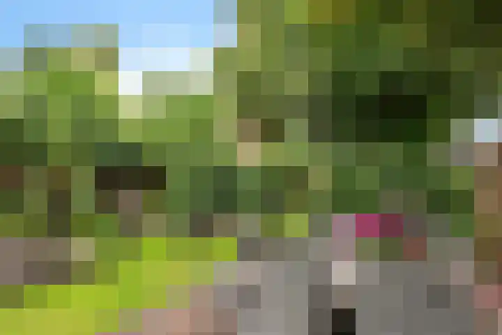 Lageweg 47 Noordlaren thumbnail 39