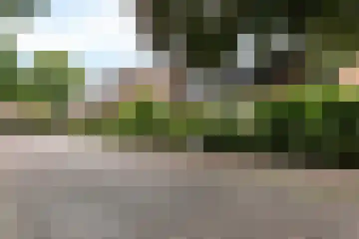 Lageweg 47 Noordlaren thumbnail 4