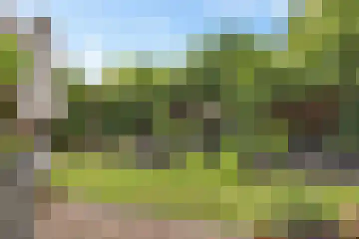 Lageweg 47 Noordlaren thumbnail 40