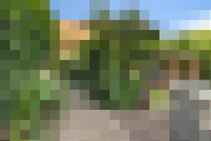 Lageweg 47 Noordlaren thumbnail 42