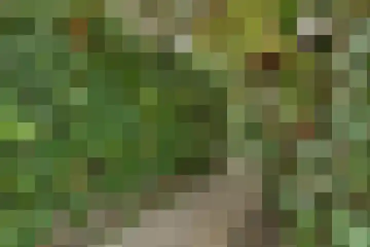 Lageweg 47 Noordlaren thumbnail 43