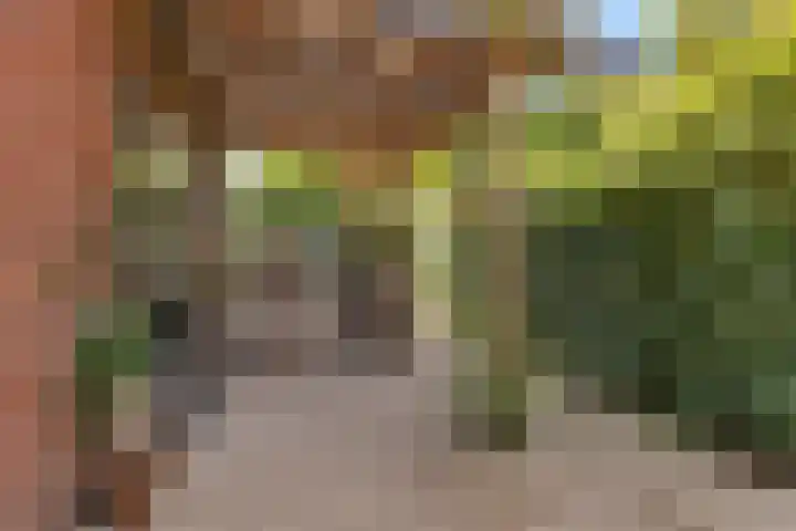 Lageweg 47 Noordlaren thumbnail 44