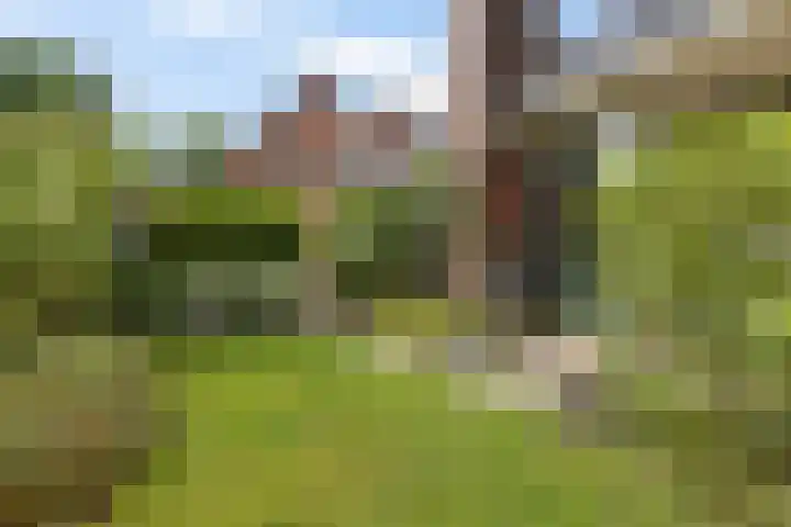 Lageweg 47 Noordlaren thumbnail 47