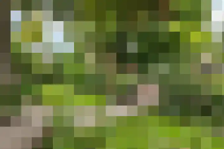Lageweg 47 Noordlaren thumbnail 48