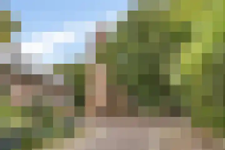 Lageweg 47 Noordlaren thumbnail 49