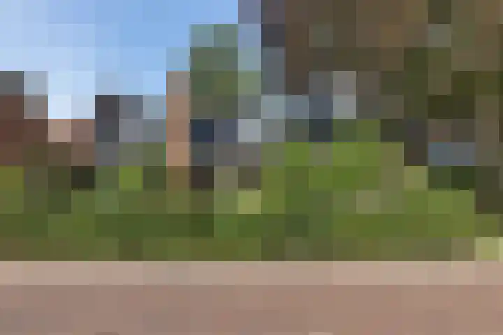 Lageweg 47 Noordlaren thumbnail 5