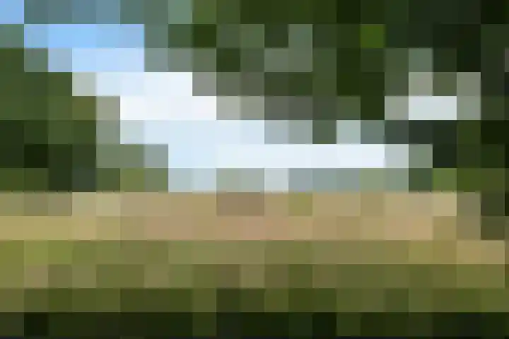 Lageweg 47 Noordlaren thumbnail 51