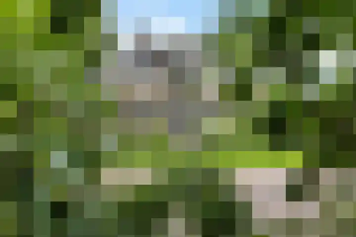 Lageweg 47 Noordlaren thumbnail 52