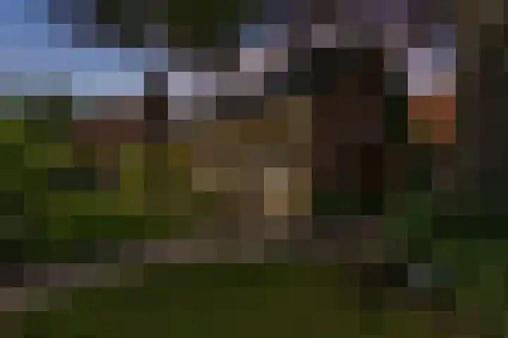 Lageweg 47 Noordlaren thumbnail 54