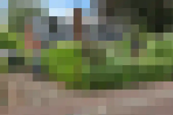 Lageweg 47 Noordlaren thumbnail 57