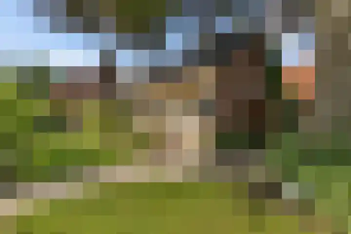 Lageweg 47 Noordlaren thumbnail 6