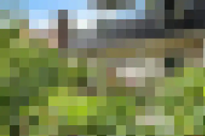 Lageweg 47 Noordlaren thumbnail 7
