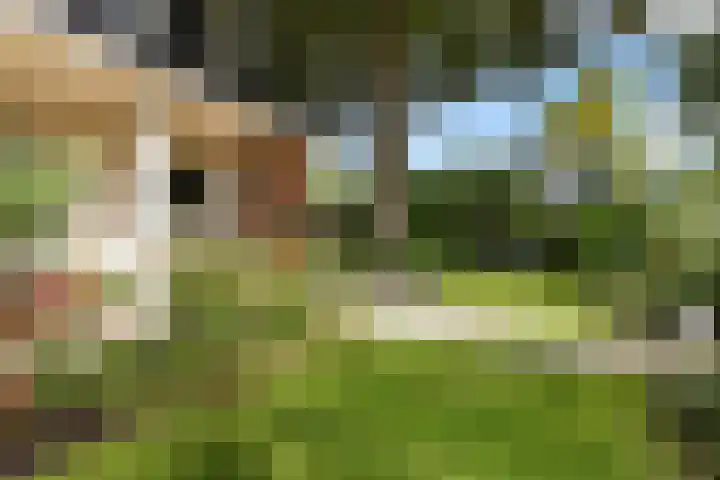 Lageweg 47 Noordlaren thumbnail 8