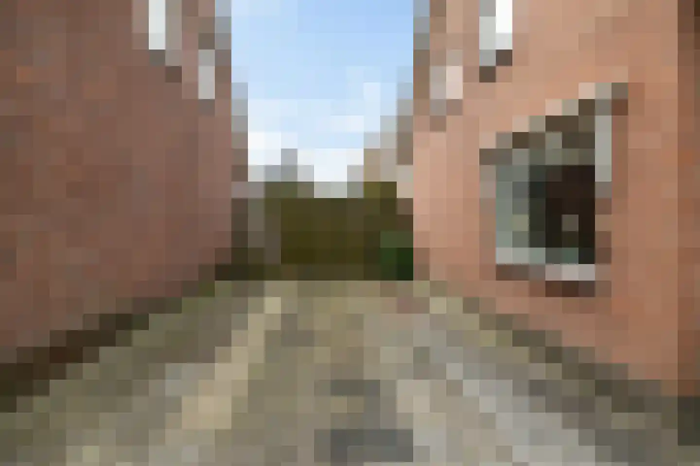 Lageweg 49 Noordlaren thumbnail 14