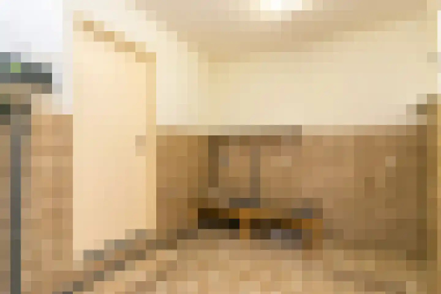 Lageweg 5 Blankenham thumbnail 13