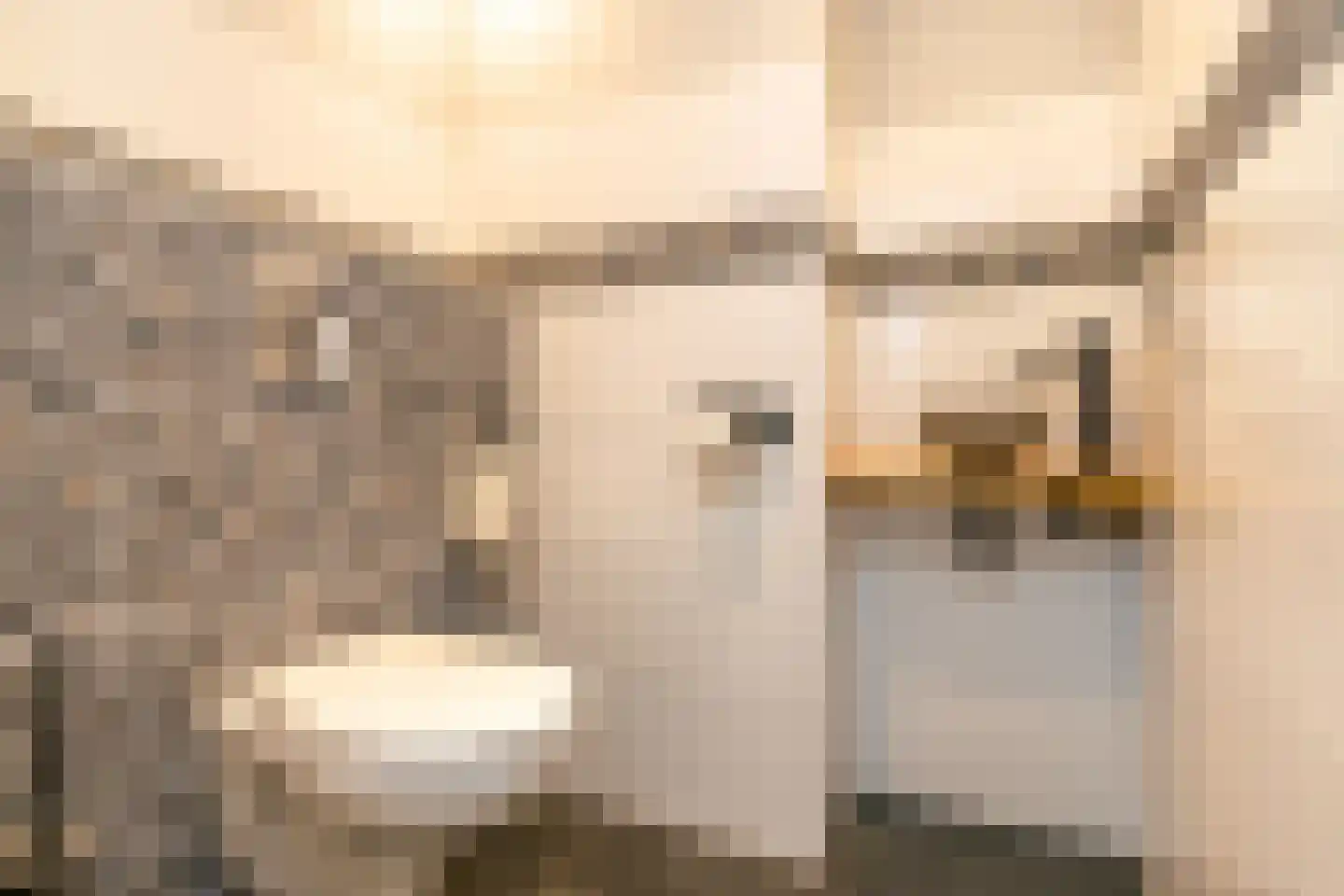 Lageweg 5 Blankenham thumbnail 17