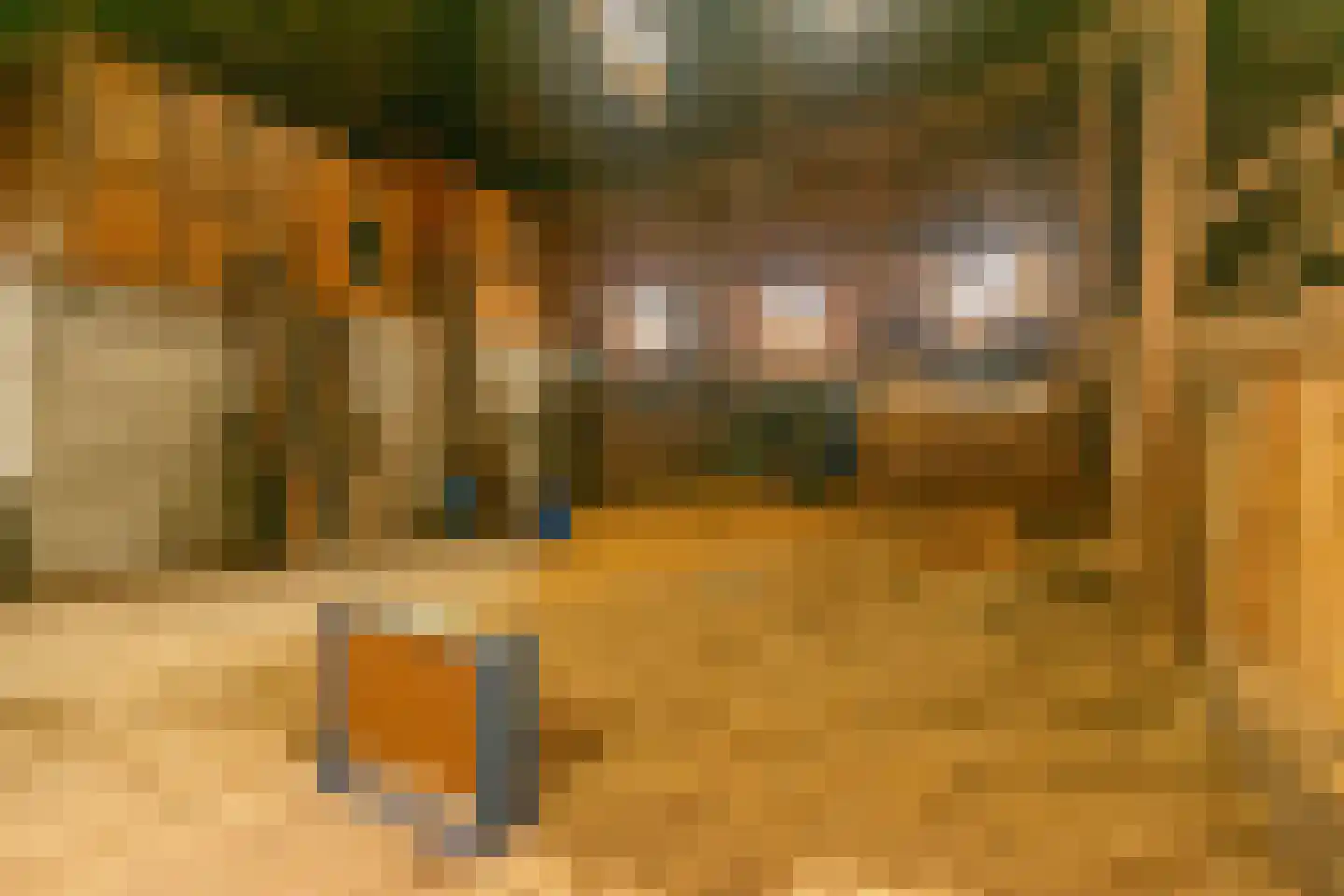 Lageweg 5 Blankenham thumbnail 34